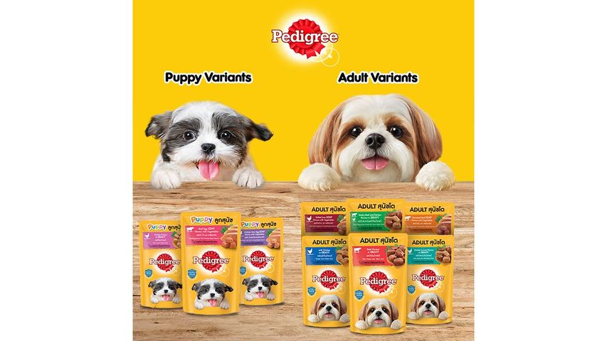 Pedigree Pouch Chicken in Gravy 130g