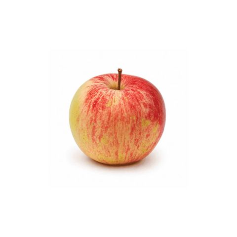 Dizon Farms Alfa Fuji Apple Big (#32) 1 Piece