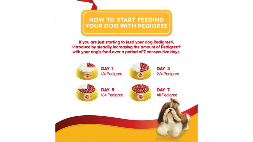 Pedigree Can Beef 700g