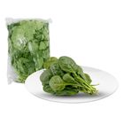 Dizon Farms Spinach 250g