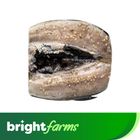 brightfarms Bangus Deboned Belly Marinated 500g (Frozen)