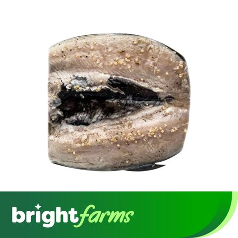 brightfarms Bangus Deboned Belly Marinated 500g (Frozen)