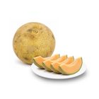 Fresh Produce Sweet Melon 1 Piece