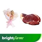 Blooms Artisan Gia Bundle 10