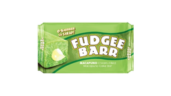 Fudgee Barr Macapuno 40g x 10s