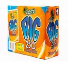 Big 250 Juice Drink with Vitamin C Orange 10 x 250ml