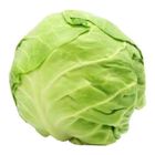 Tlf Cabbage - 198513