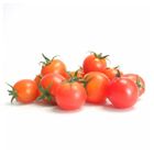 Nightingale Farms Cherry Tomatoes 250g