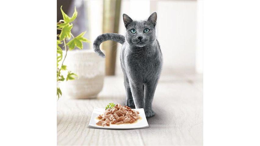 Sheba Pouch Tuna & Salmon 70g