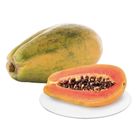 Dizon Farms Papaya Red Lady 1 Piece