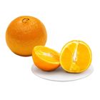 Dizon Farms Navel Orange (No. 113) 1 Piece