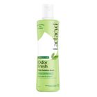 Lactacyd Odor Fresh Feminine Wash Cleanser Long-Lasting 24 hours Protection 250ml