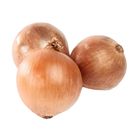 Tlf Farms Onion White (198849)