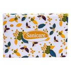 Sanicare Travel Pack Facial Tissue 3 Ply 40 Sheets