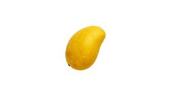 Sunnyphil Inc. Yellow Mango Medium Approximately - 127606