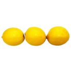 American Lemon - 4490
