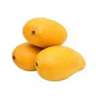 Selmor Lili Farm Products Yellow Mango Medium (202149)