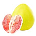 Tlf Pomelo Davao - 198569