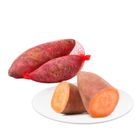 Dizon Farms Sweet Potato Orange (Camote) 500g