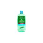 Green Cross 70% Ethyl Alcohol 500ml