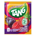 Tang Mixed Berries 19G