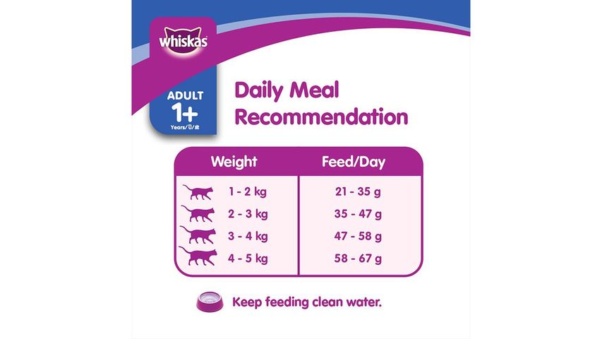 Whiskas Dry Skin & Coat 1.1kg