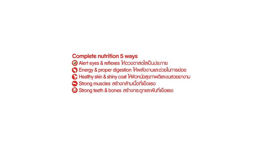 Pedigree Can Beef 400g
