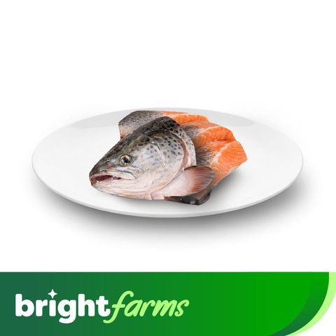 brightfarms Salmon Sinigang 350g