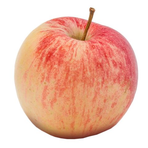 Dizon Farms Fuji Apple 1 Piece