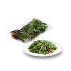 Dizon Farms Alugbati 200g