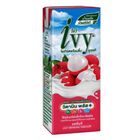 Ivy UHT Yoghurt Lychee 180ml