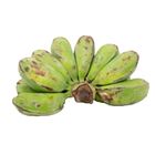 Df Banana Saba - 6398