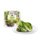 Dizon Farms Lovely Lettuce Medley 100g
