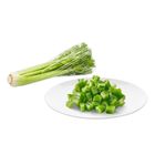 Dizon Farms Celery 250g