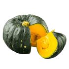 Tlf Farms Squash (198851)