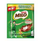 Milo Activ-go Choco Malt Powdered Milk Drink 24g