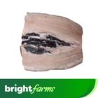 brightfarms Bangus Deboned Belly Plain 500g (Frozen)