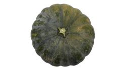 Squash (127170) 0.5kg