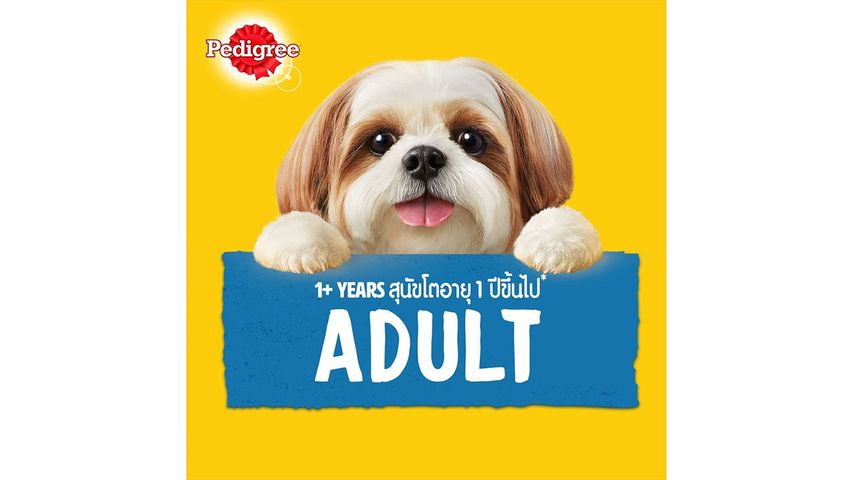 Pedigree Pouch Beef Flavour in Gravy 130g
