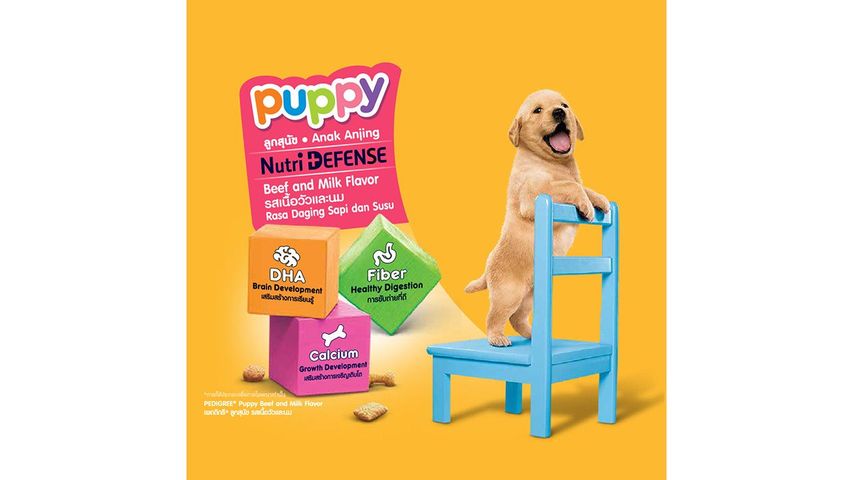 Pedigree Dry Puppy Beef with Milk 1.3kg