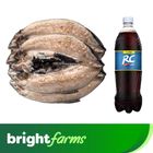 Bangus Baby Deboned Marinated + Rc Cola