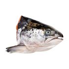 Salmon Head Split Cut 900g-1kg (Frozen)