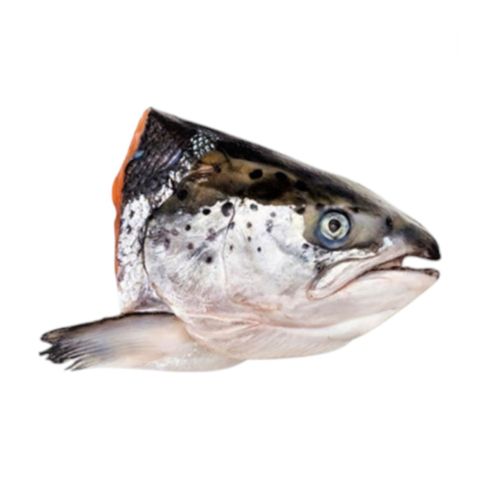 Salmon Head Split Cut 900g-1kg (Frozen)