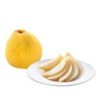 Fresh Produce Pear 1 Piece