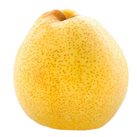 Dizon Farms Pear 1 Piece