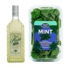 Calamansi Mint Mix