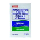 Salonpas Patches Large 2 Pieces