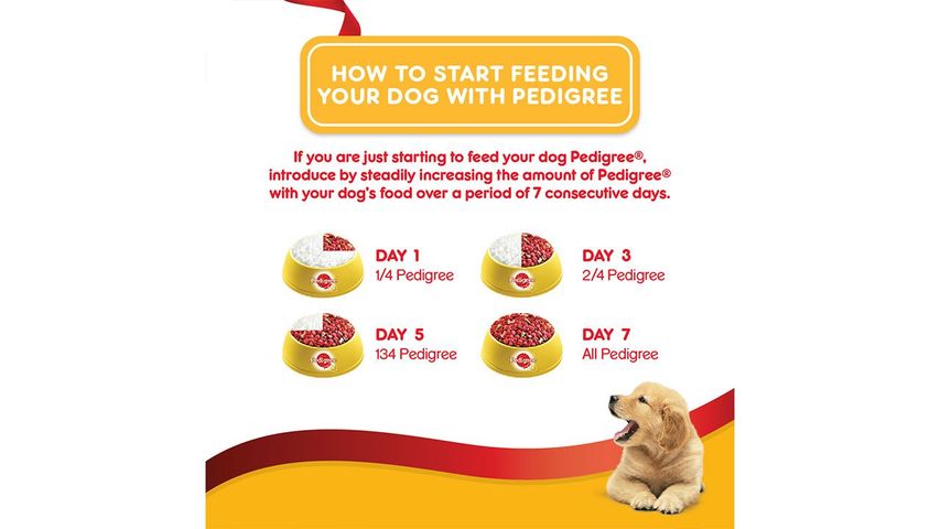 Pedigree Can Puppy 400g