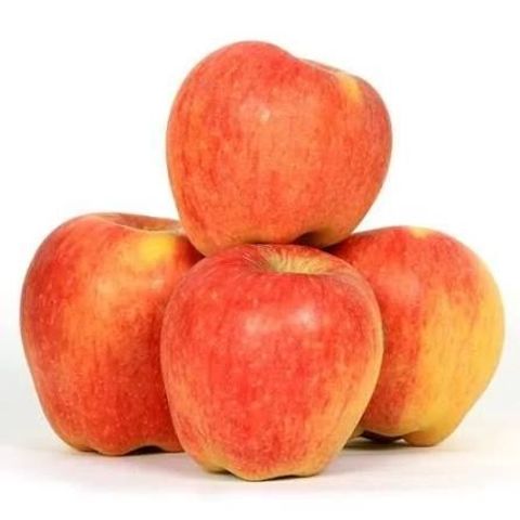 brightfarms Kashmiri Apple 1kg (start of season)