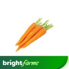 brightfarms Carrot Orange 500g